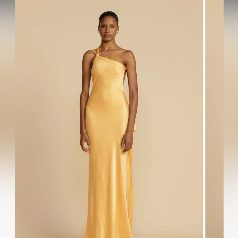 Arcina ori Monique dress - NWT